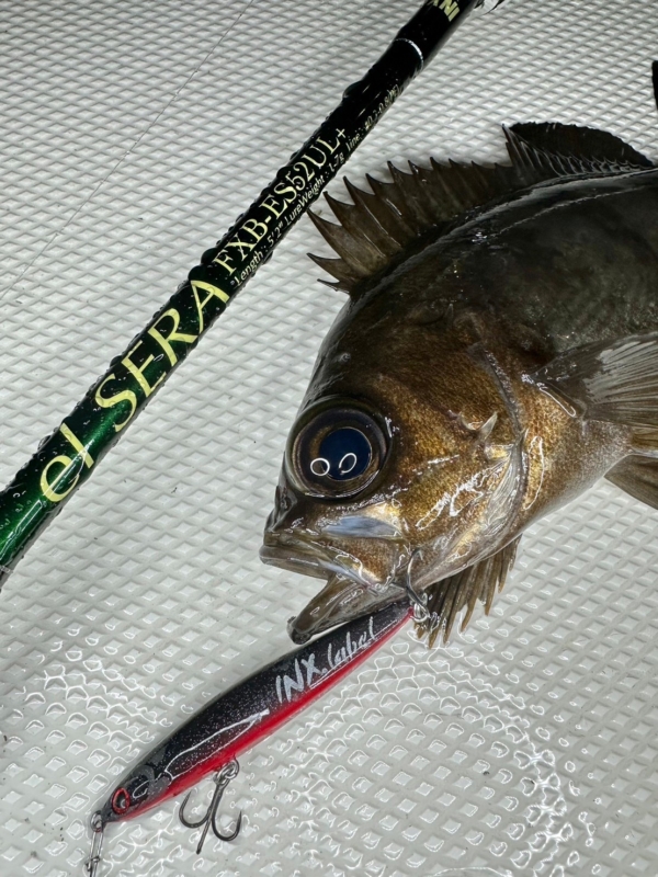 FXB】711ガリンペイロ & 52エル・セーラ – Fish.IN | Outdoor / Fishing / Something